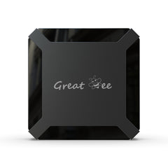 New Arrival the latest Great Bee, Arabic TV box with Android 10!