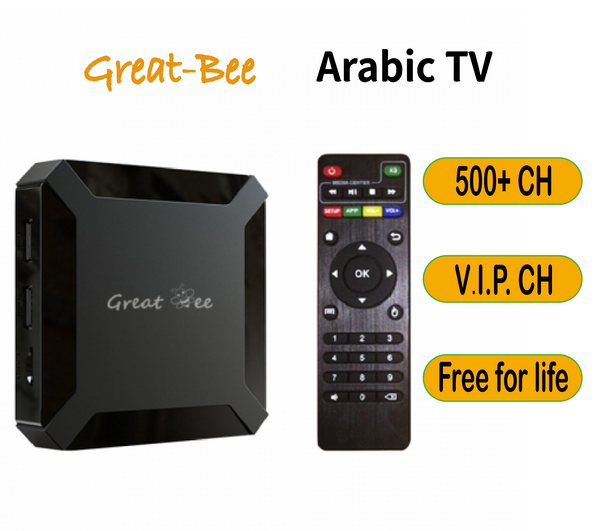 GREATBEE Arabic TV Box, One-time Payment Free for Life, Stream 4K Chromecast Android Smart TV Box