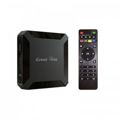 GREATBEE Arabic TV Box, One-time Payment Free for Life, Stream 4K Chromecast Android Smart TV Box
